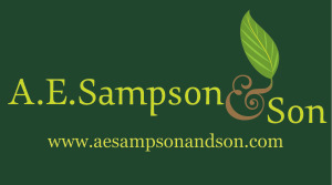 A.E. Sampson & Son Ltd