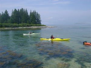 Port Clyde Kayaks