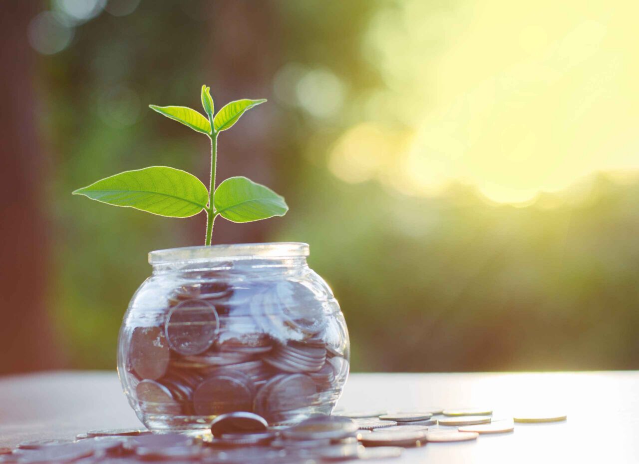 Sprout growing on money pile of glass jar bank