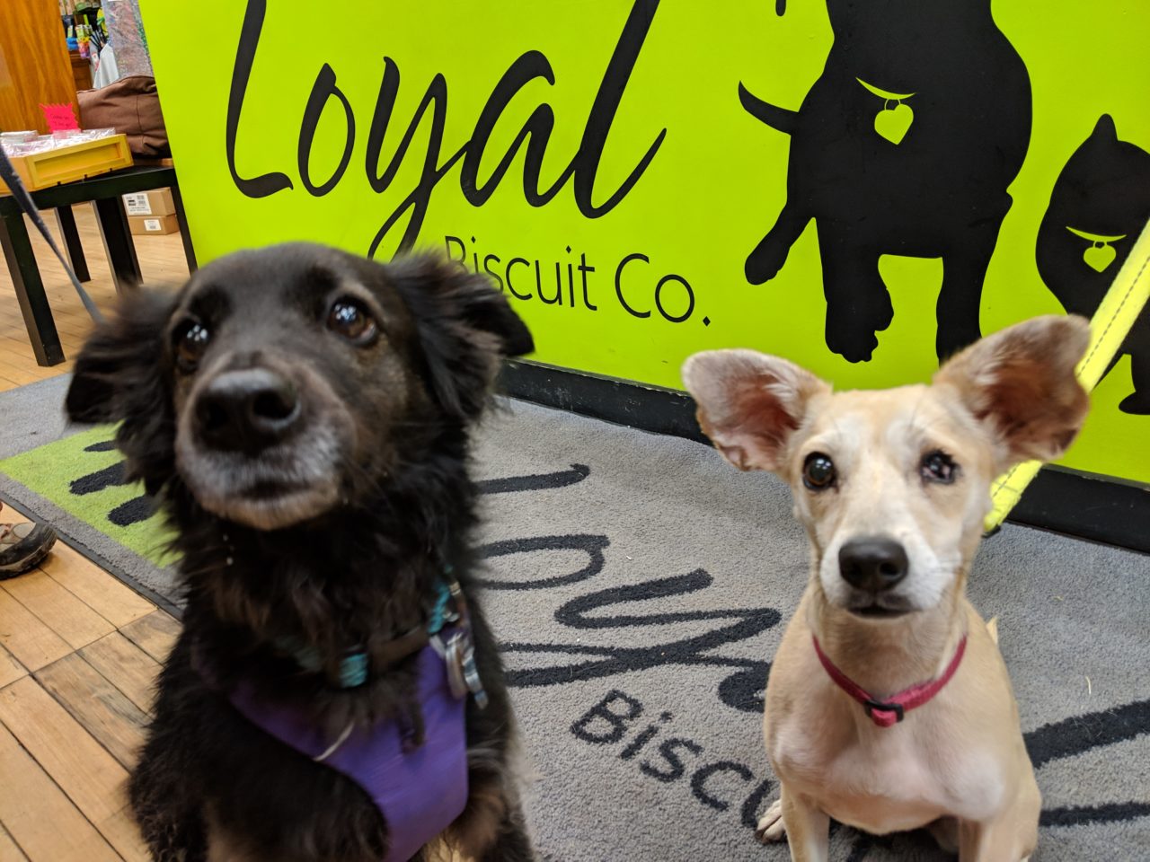 MVIMG_20181215_141406