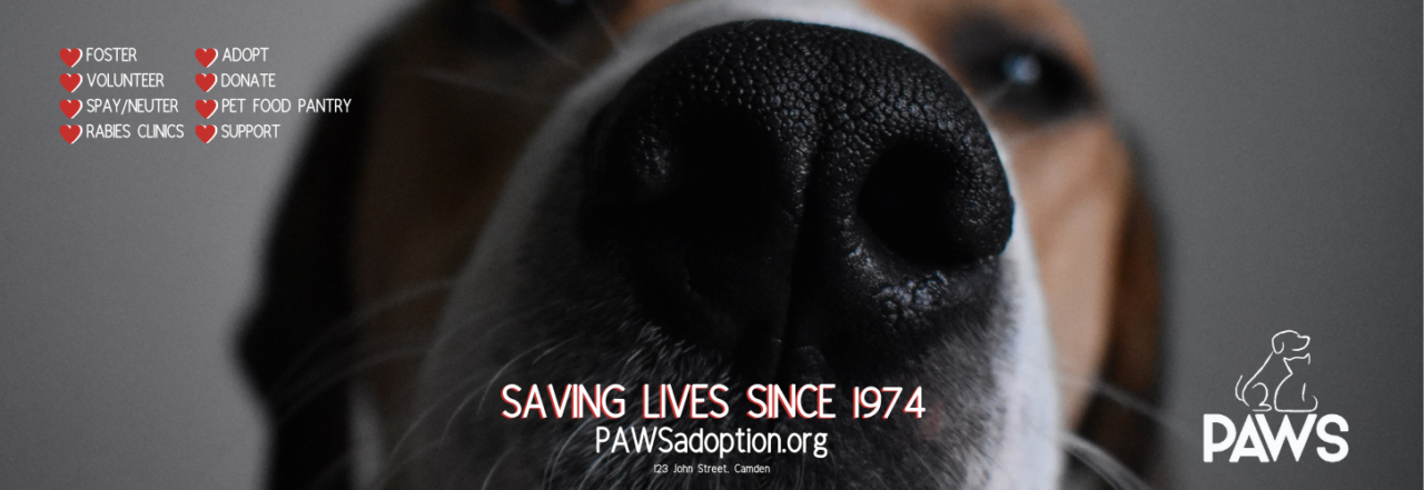 P.A.W.S. Animal Adoption Center