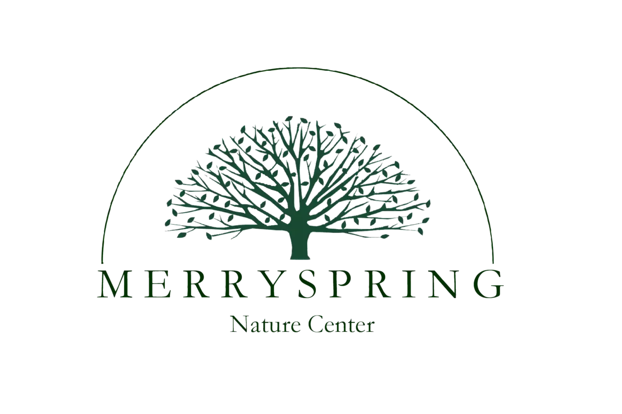 Merryspring-logo-LRG-PNG