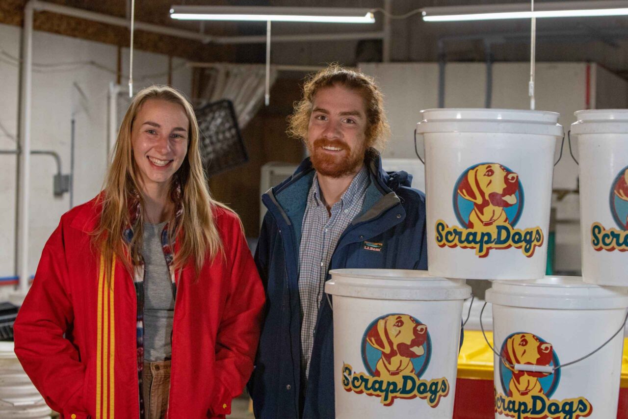 ScrapDogs_Jack-Sullivan