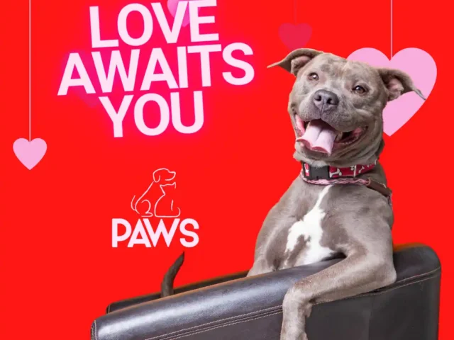 Find the love of your life!