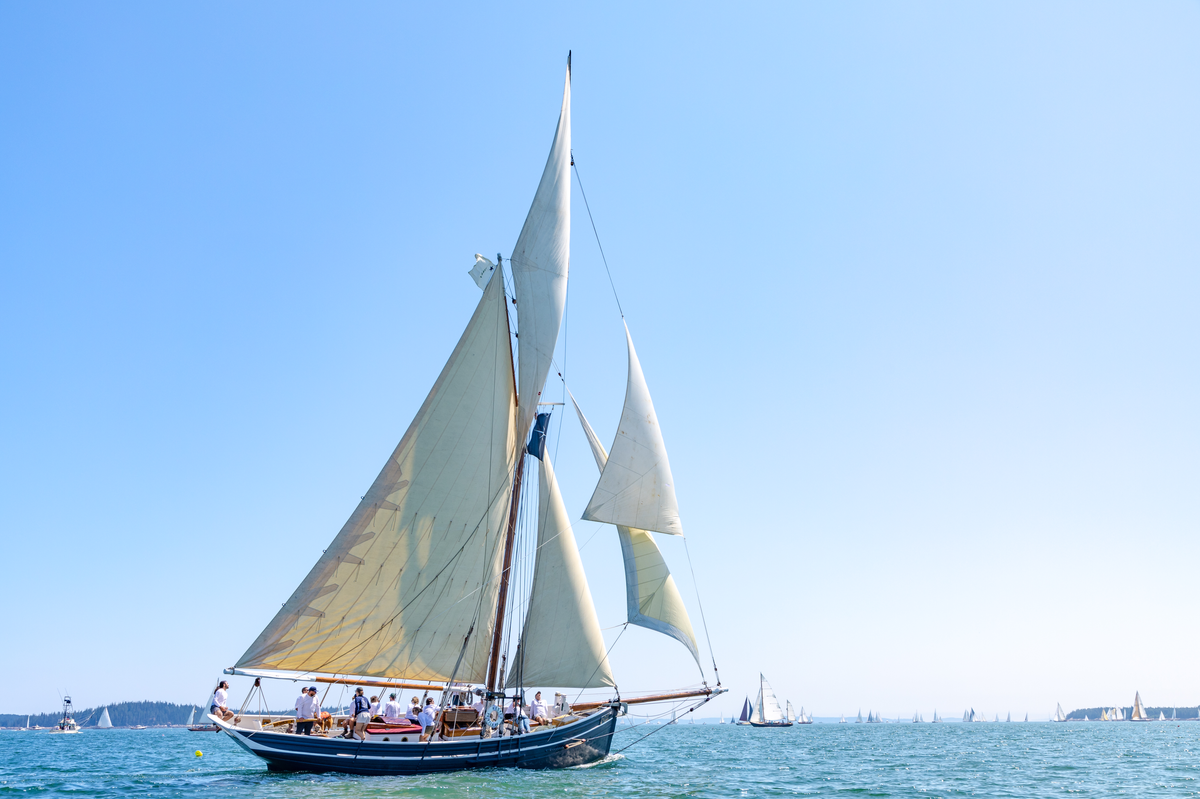 Canvas + Pine Sailing Expeditions