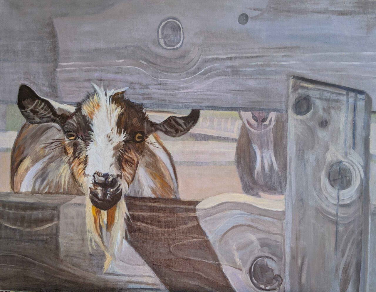 IMG_20220902_092909_631